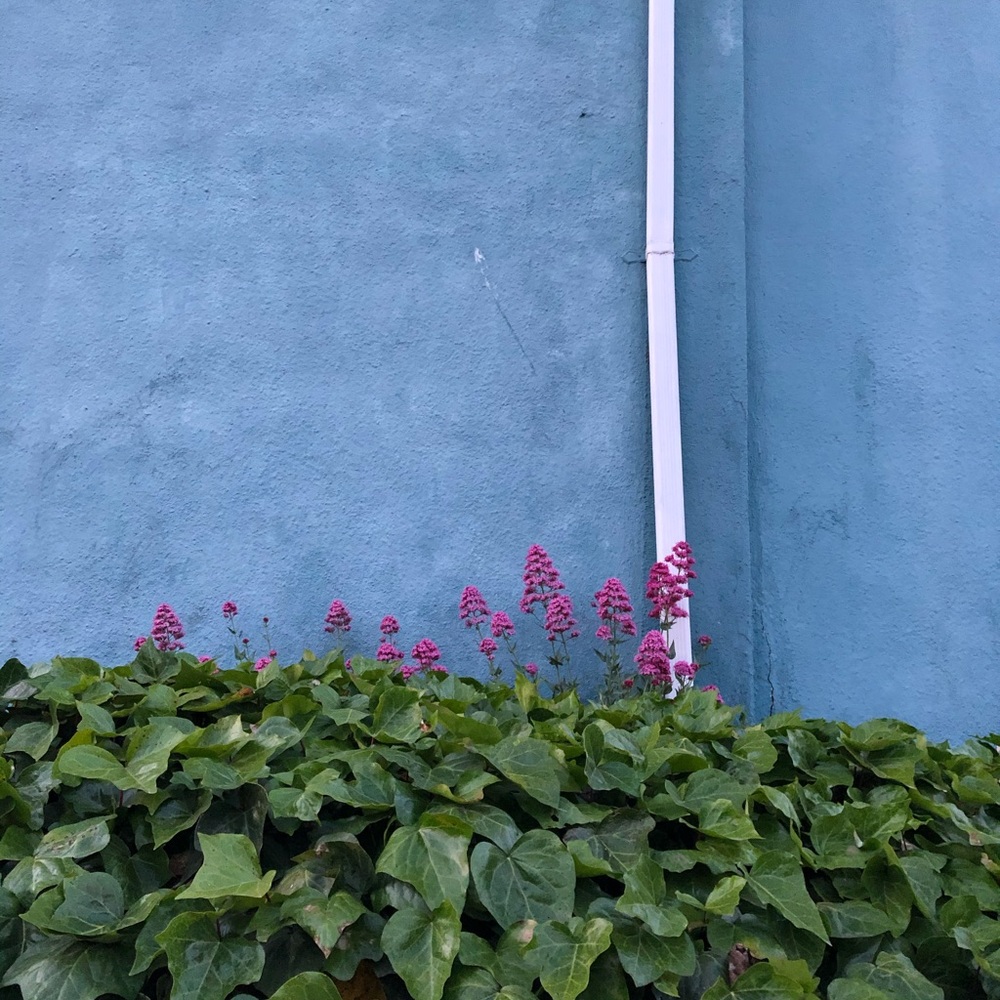 Meet your Posher, Aria